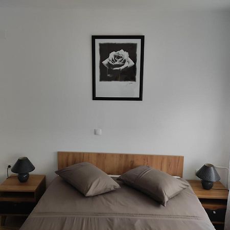 Апартаменти Studio Apartman Rose Плитвицька Єзера Екстер'єр фото