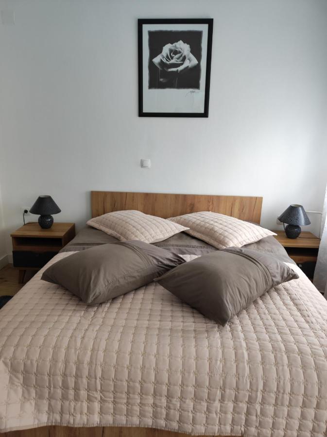 Апартаменти Studio Apartman Rose Плитвицька Єзера Екстер'єр фото