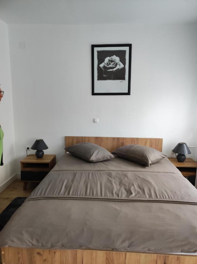 Апартаменти Studio Apartman Rose Плитвицька Єзера Екстер'єр фото